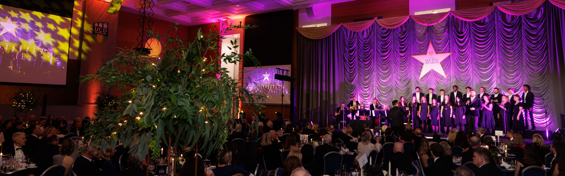 Nominations now open for UCD Alumni Awards 2026